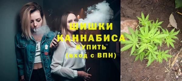 стафф Богданович