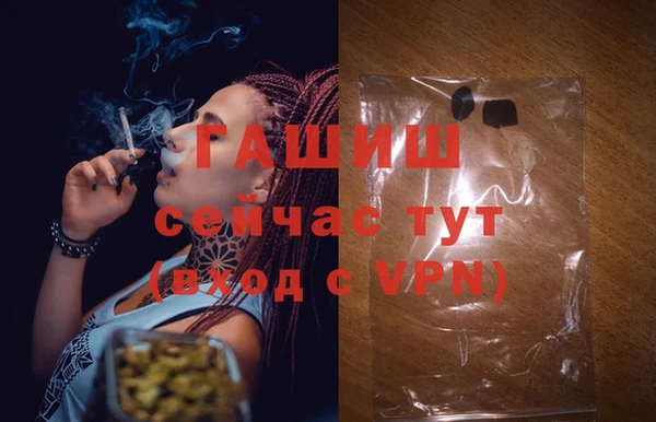 стафф Богданович